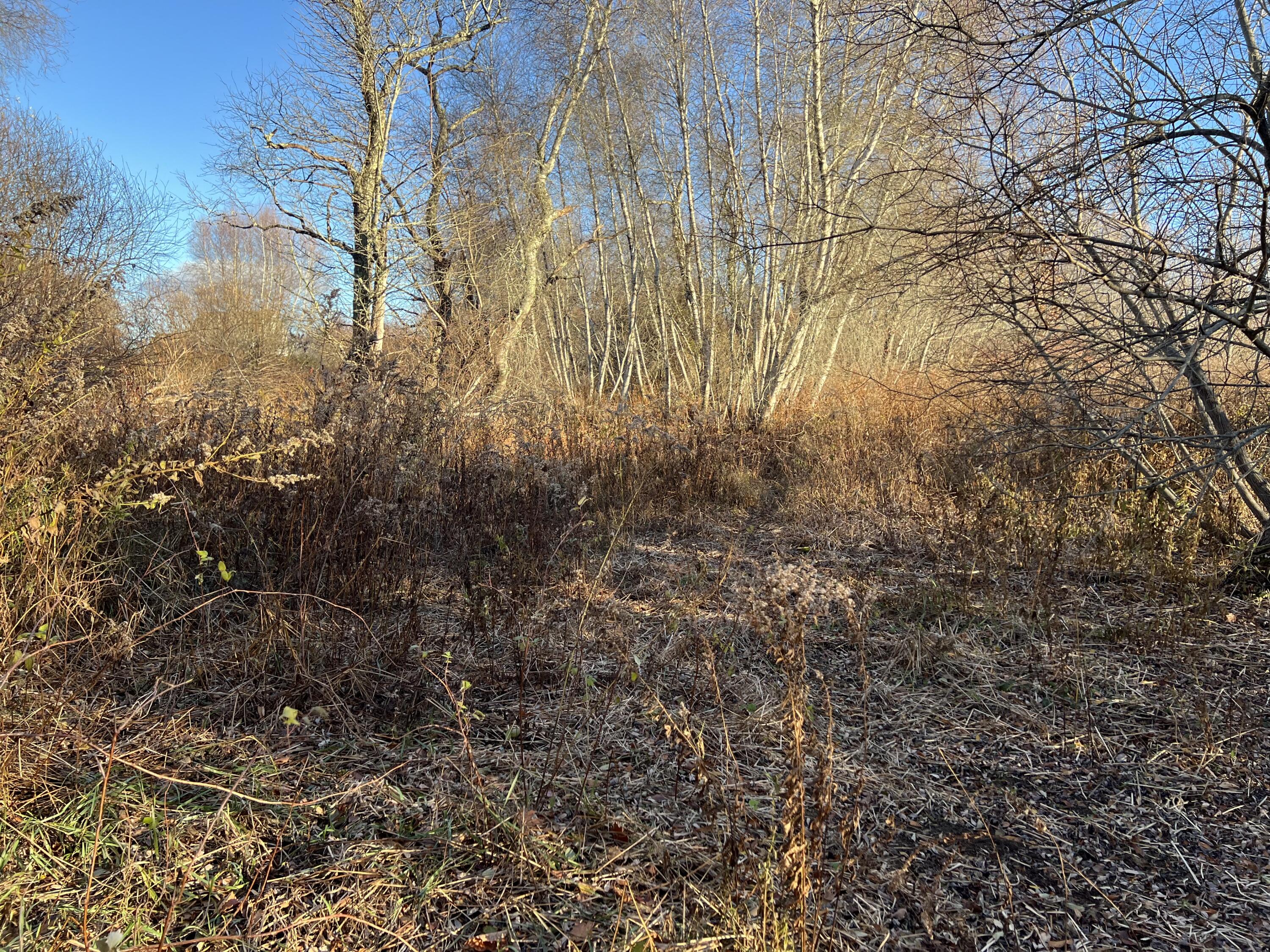 Lot #B Winding Way Rockport ME 04856