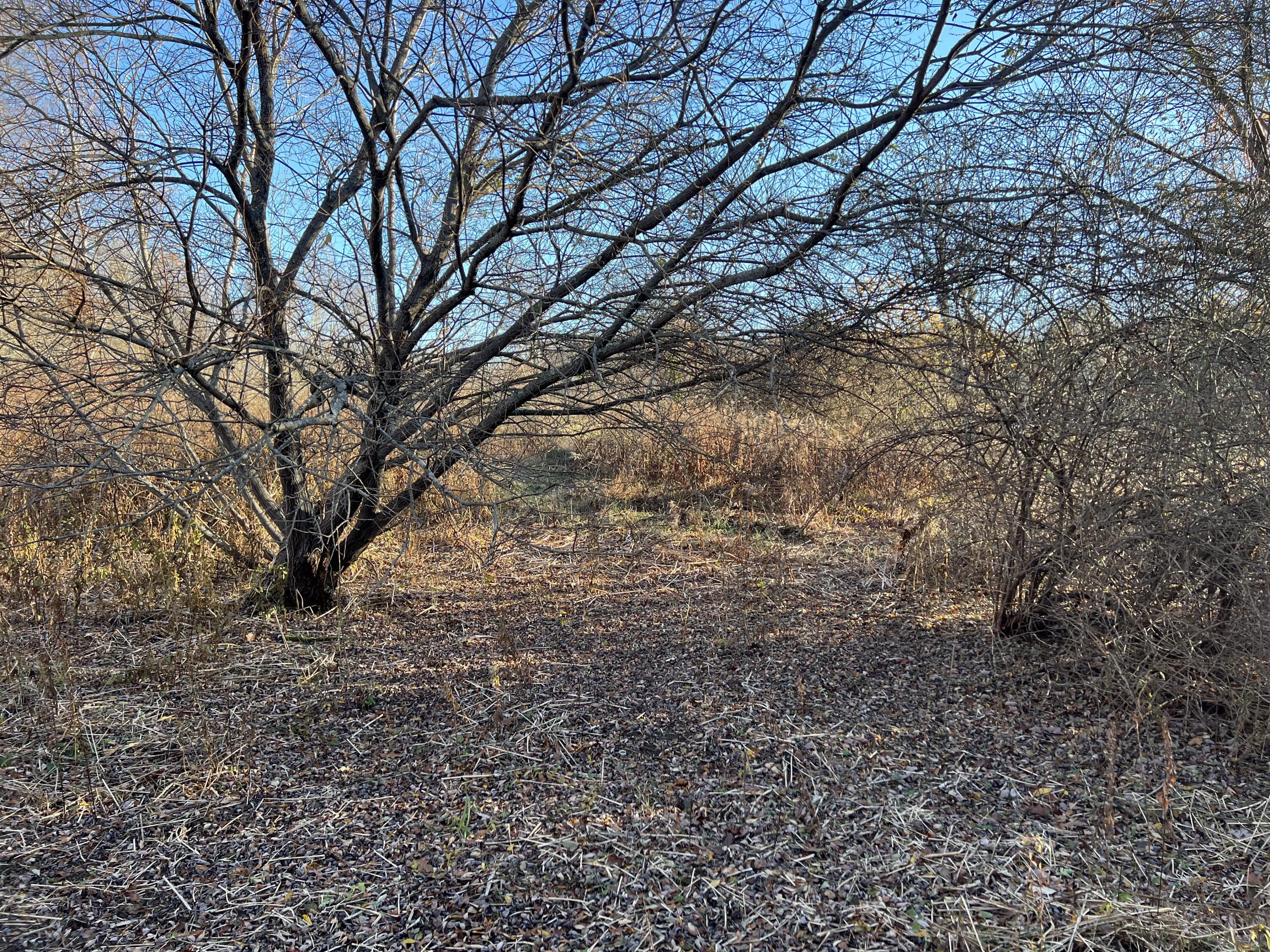 Lot #B Winding Way Rockport ME 04856