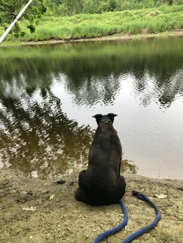 171 Fisher Road Monroe ME 04951