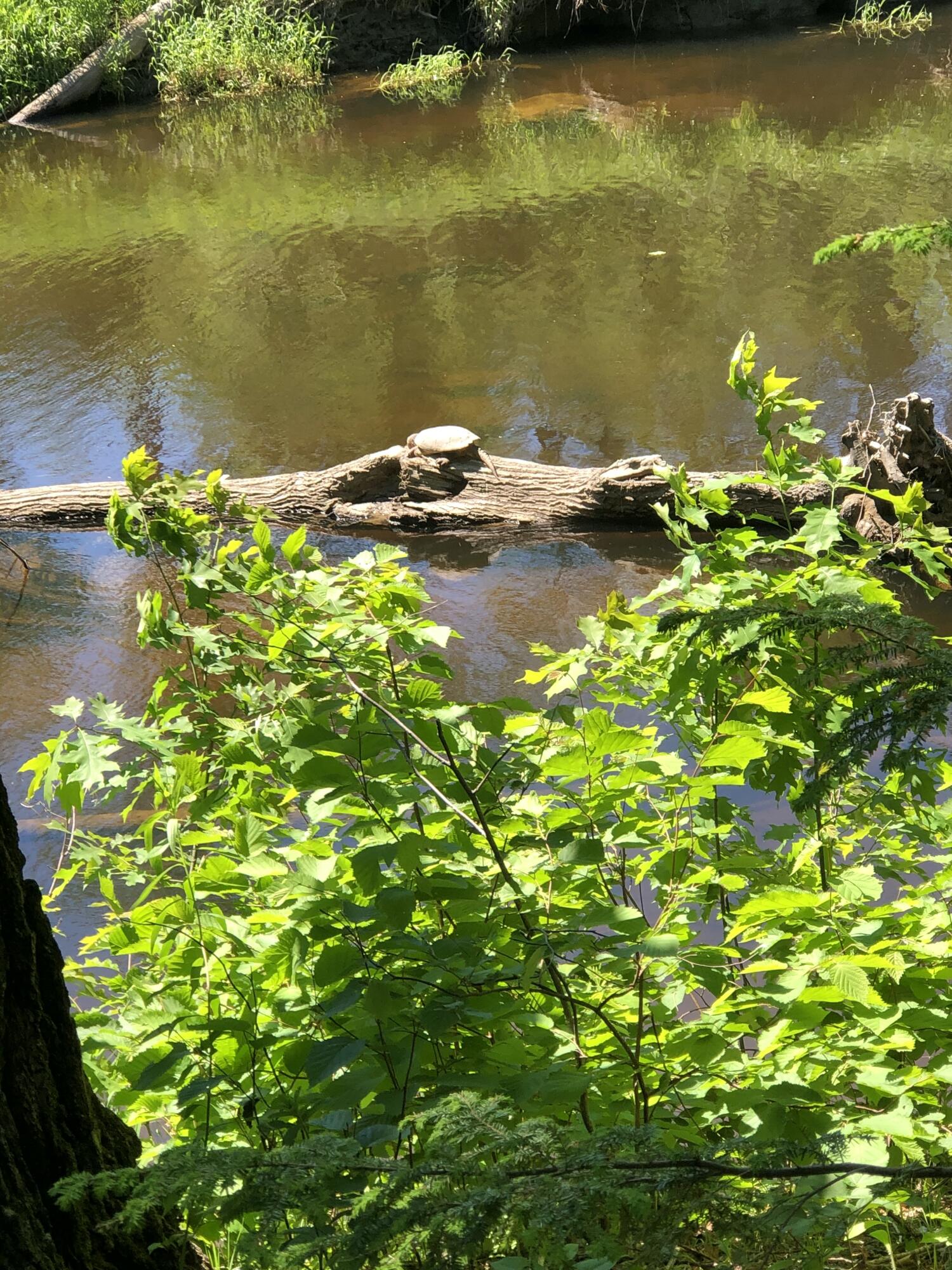 171 Fisher Road Monroe ME 04951