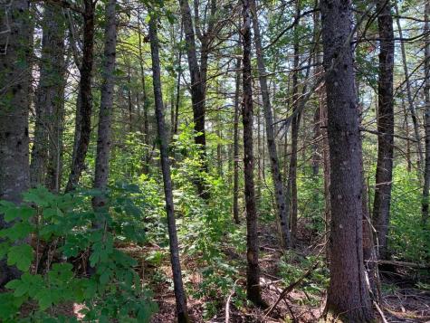 296 Georges Pond Road Franklin ME 04634