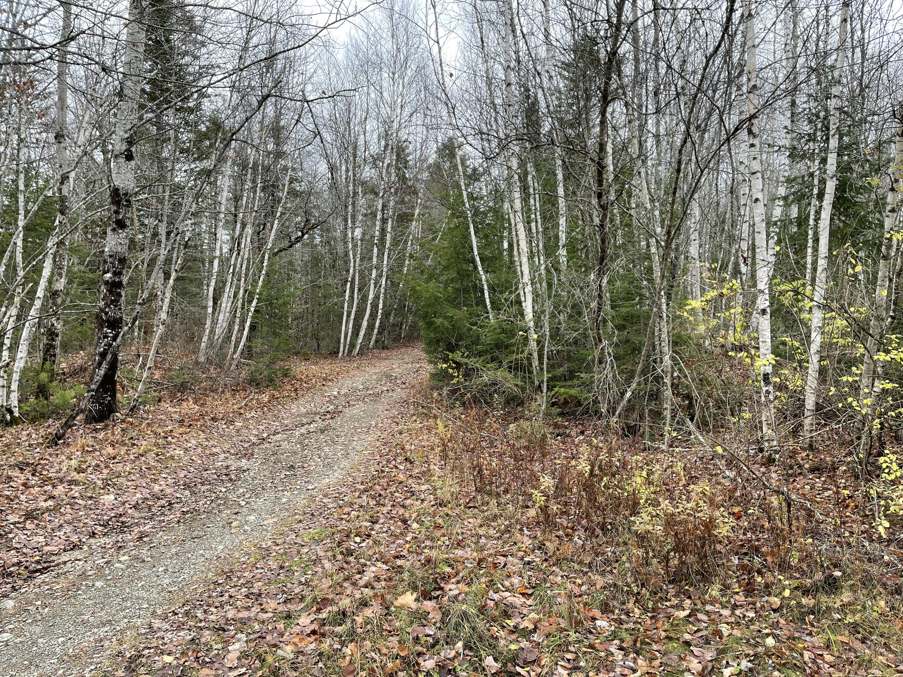 194 E Gulch Road Thorndike ME 04986