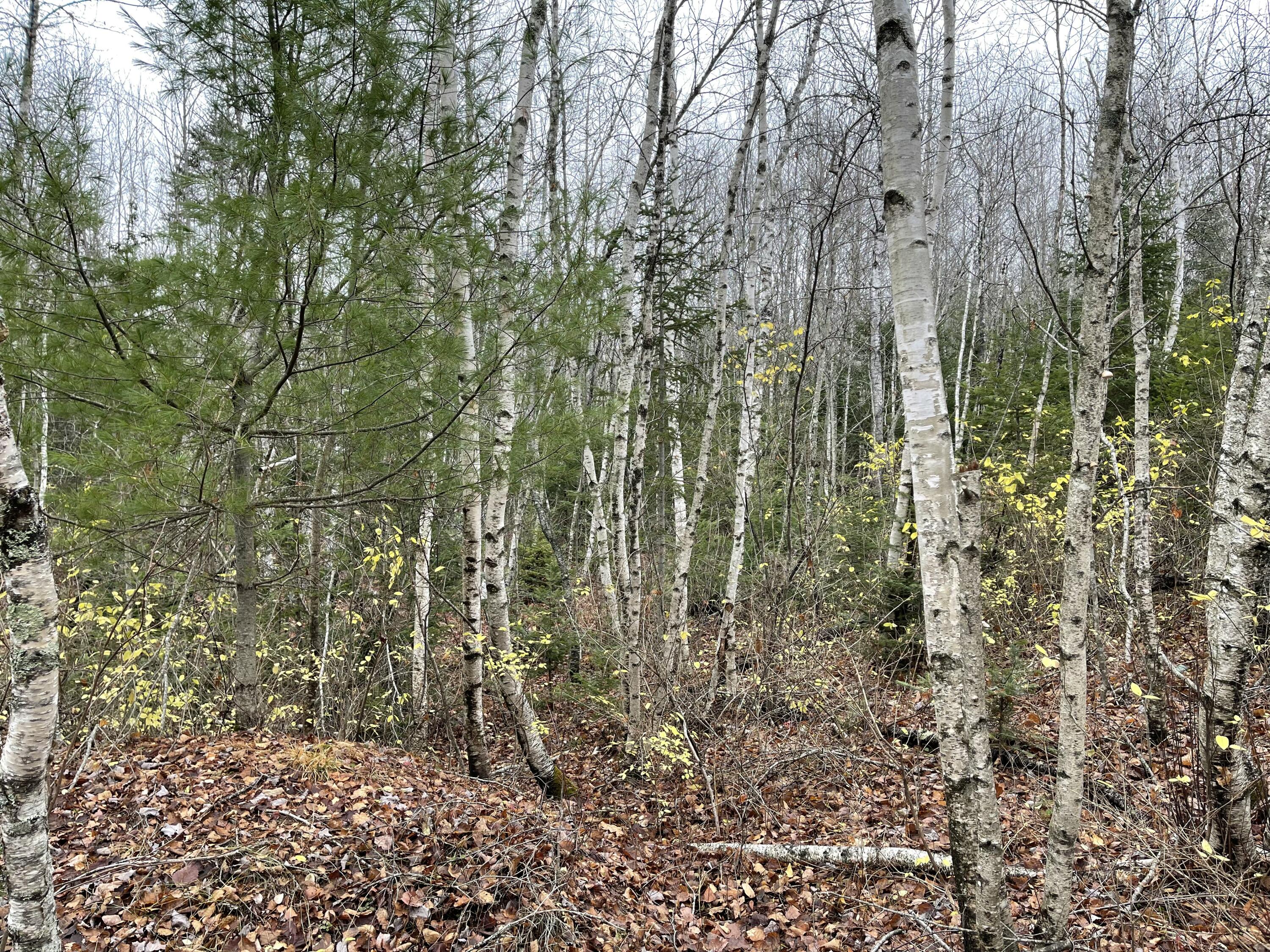 194 E Gulch Road Thorndike ME 04986