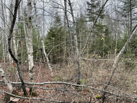 194 E Gulch Road Thorndike ME 04986