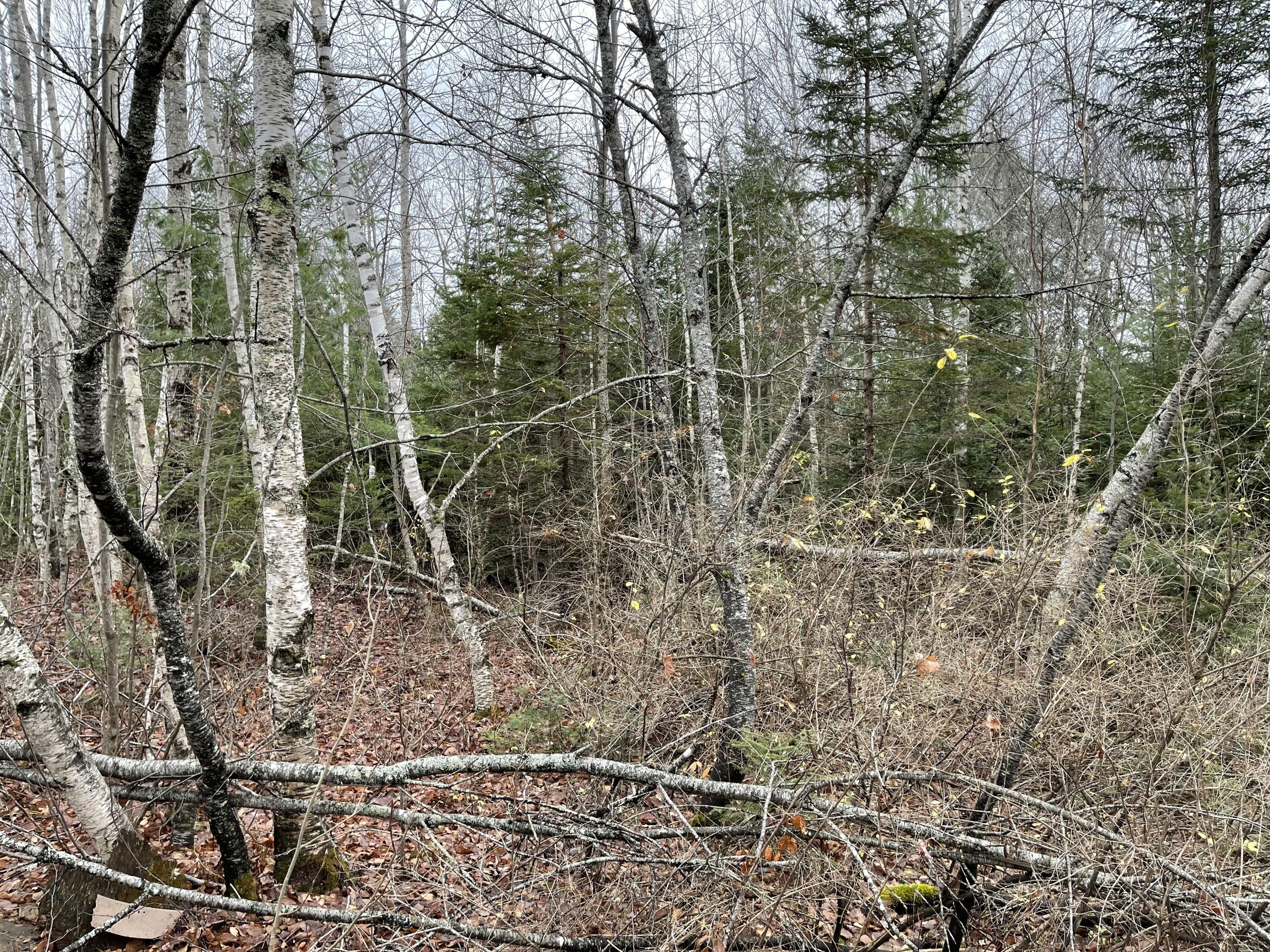 194 E Gulch Road Thorndike ME 04986