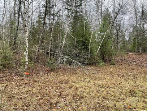 194 E Gulch Road Thorndike ME 04986