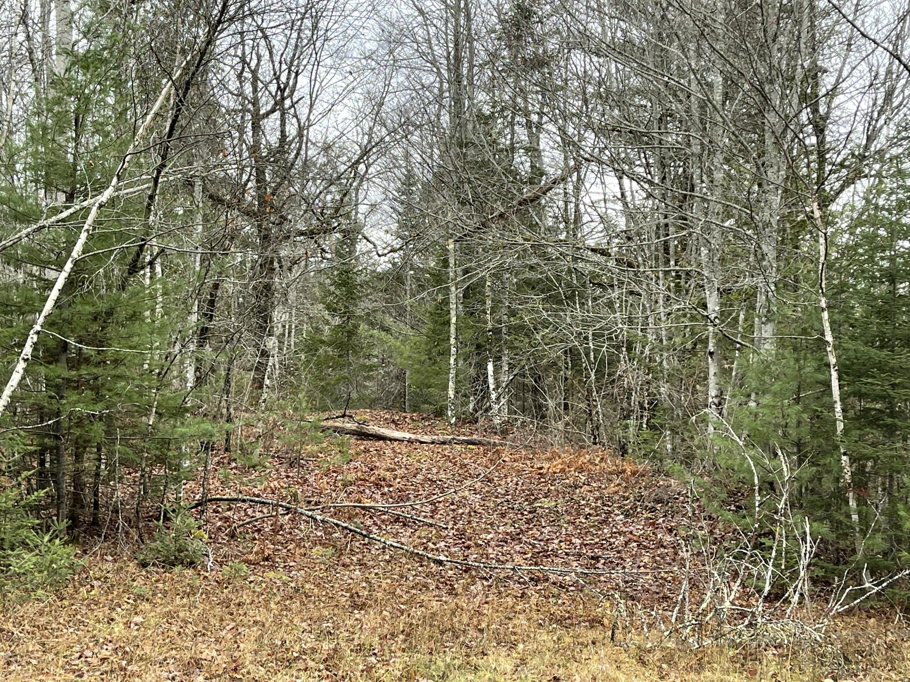 194 E Gulch Road Thorndike ME 04986