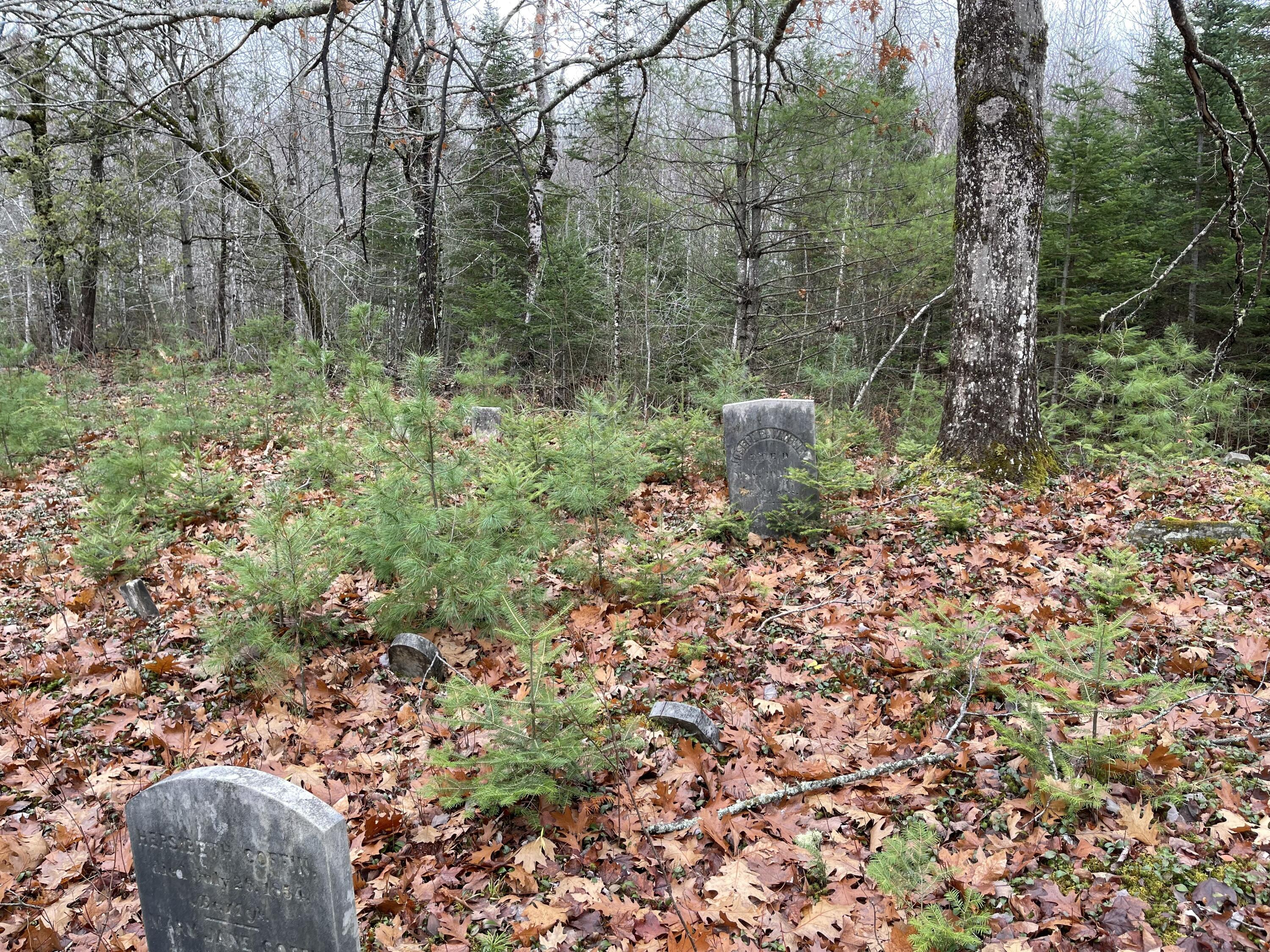 194 E Gulch Road Thorndike ME 04986
