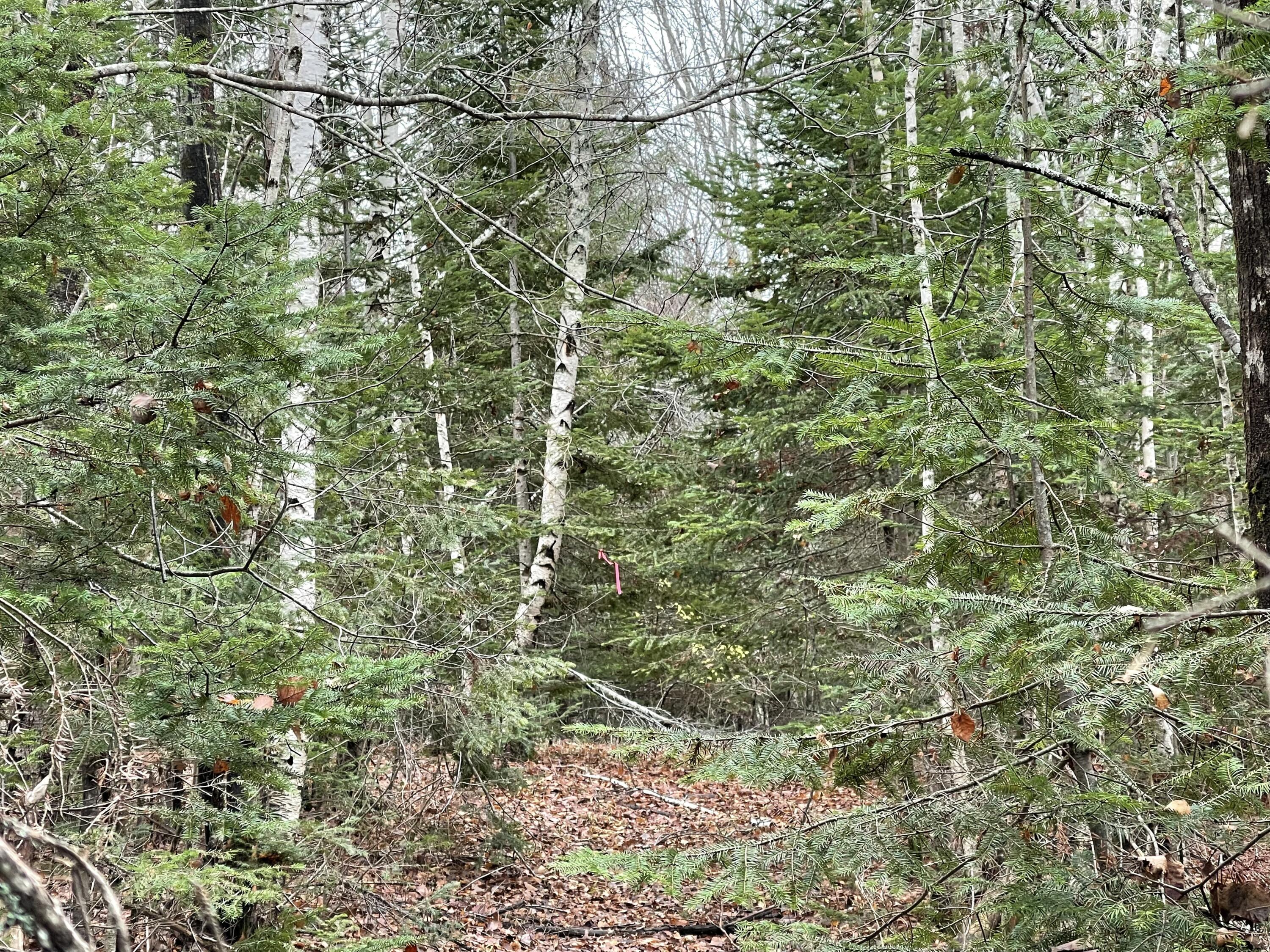 194 E Gulch Road Thorndike ME 04986