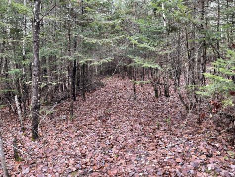 194 E Gulch Road Thorndike ME 04986