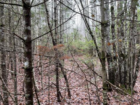 194 E Gulch Road Thorndike ME 04986