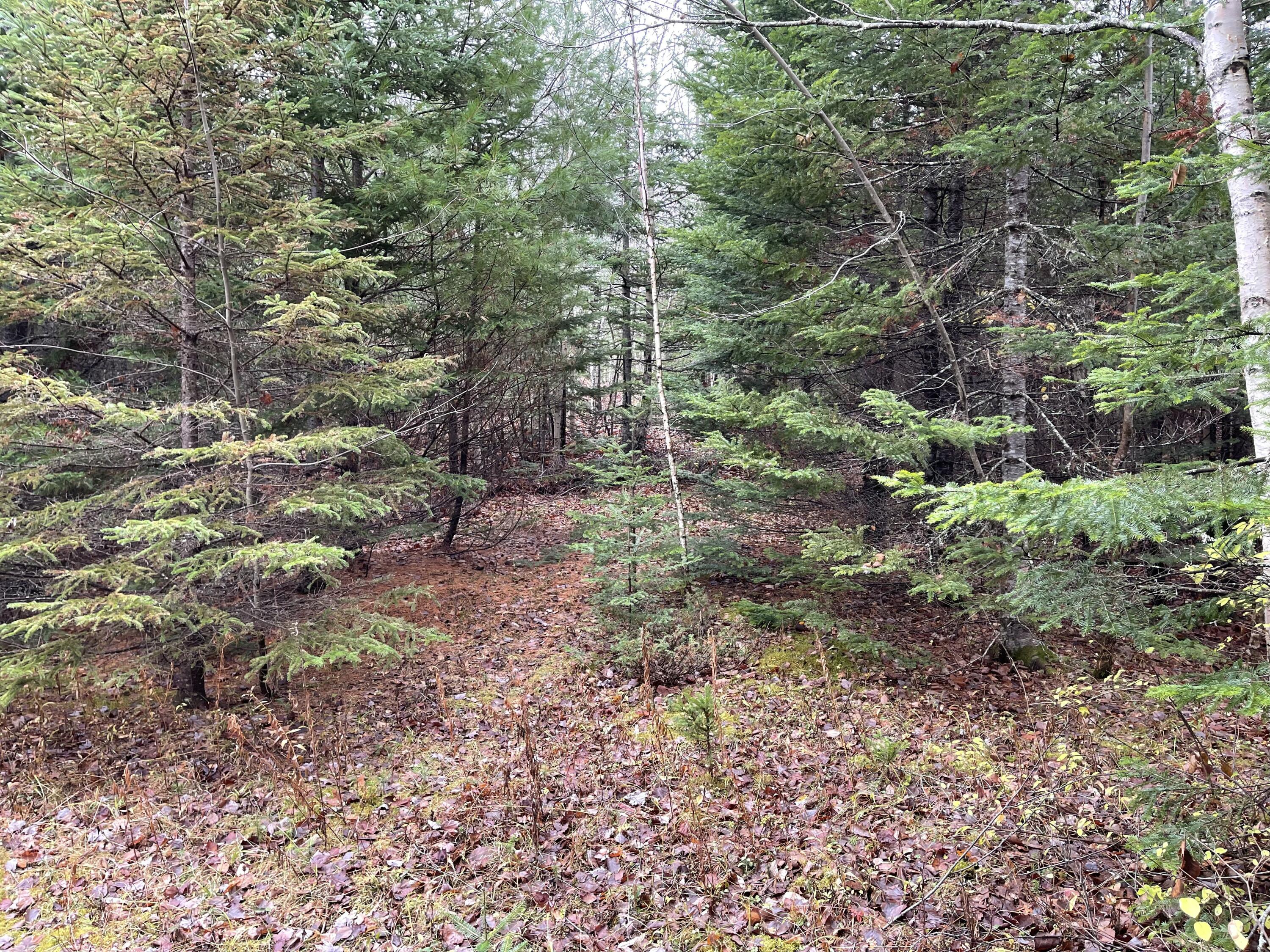 194 E Gulch Road Thorndike ME 04986
