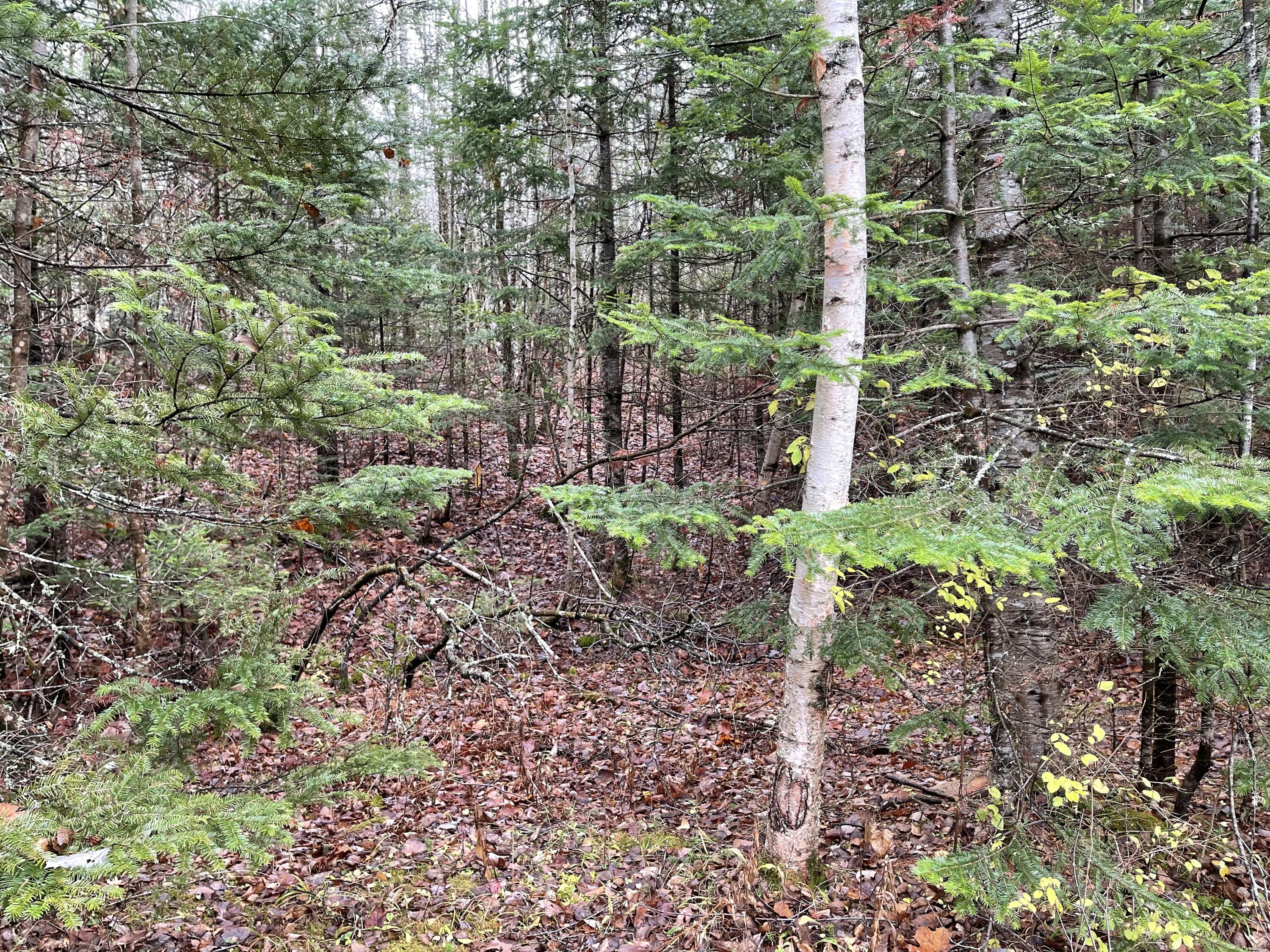 194 E Gulch Road Thorndike ME 04986