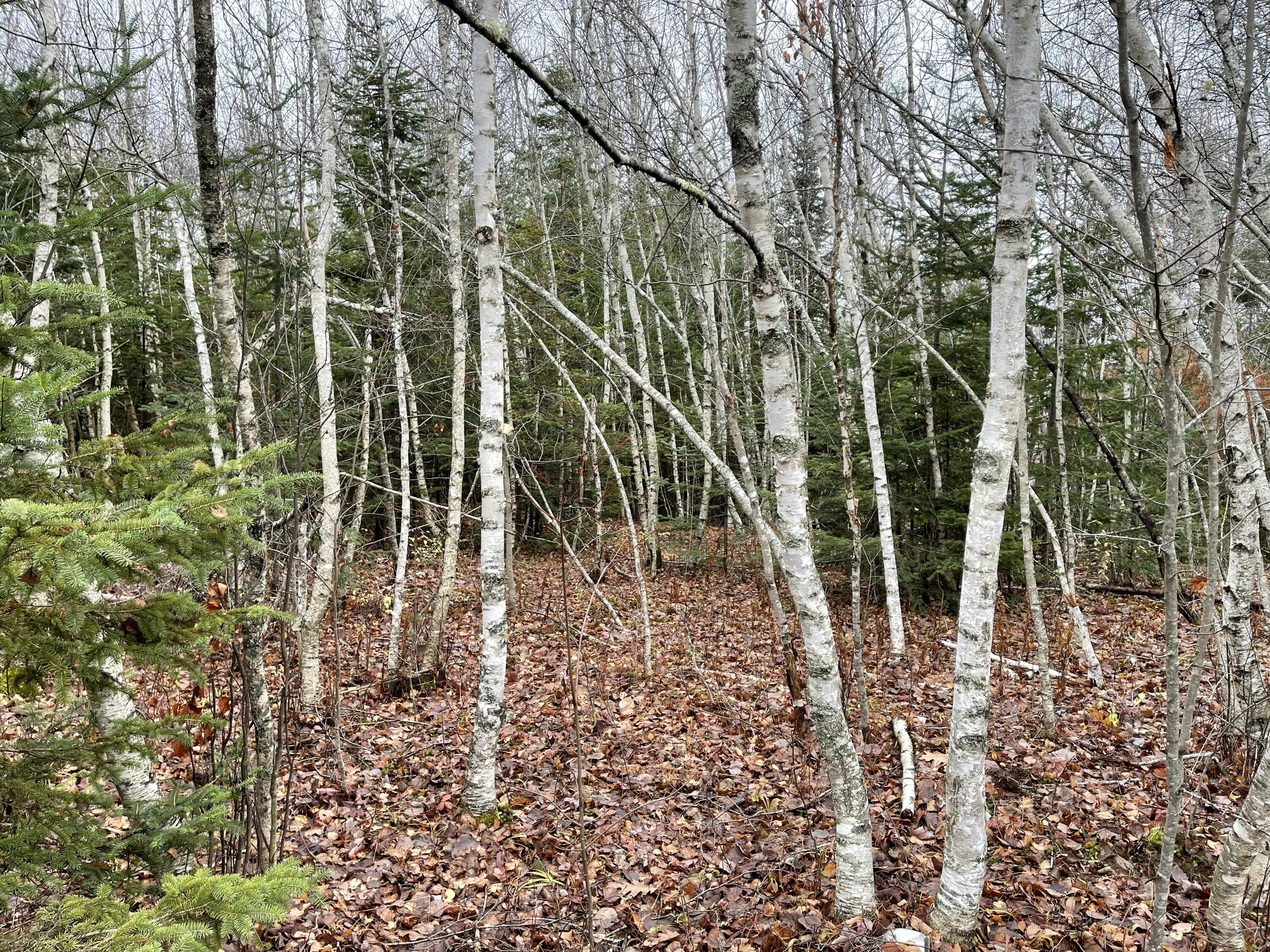 194 E Gulch Road Thorndike ME 04986