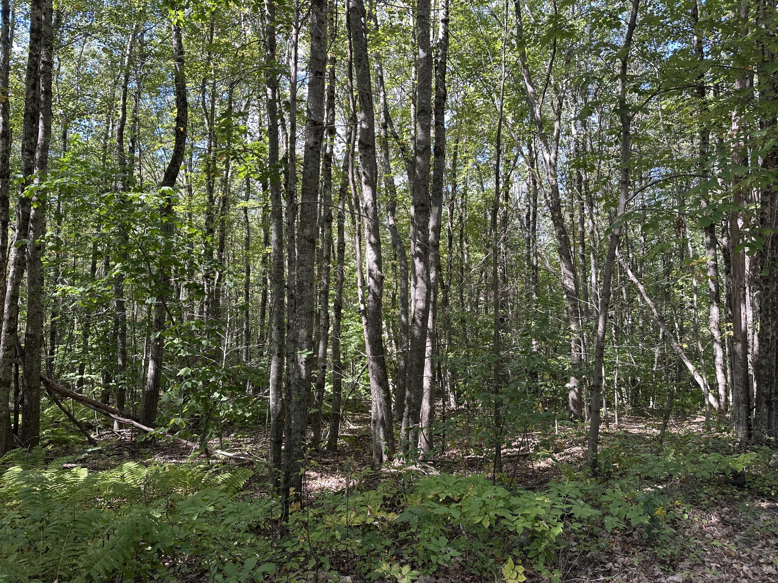 35-3 Jones Hill Road Appleton ME 04862