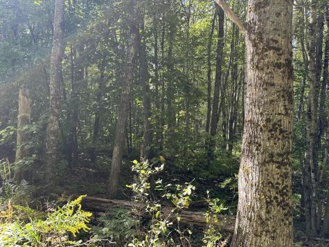 35-3 Jones Hill Road Appleton ME 04862