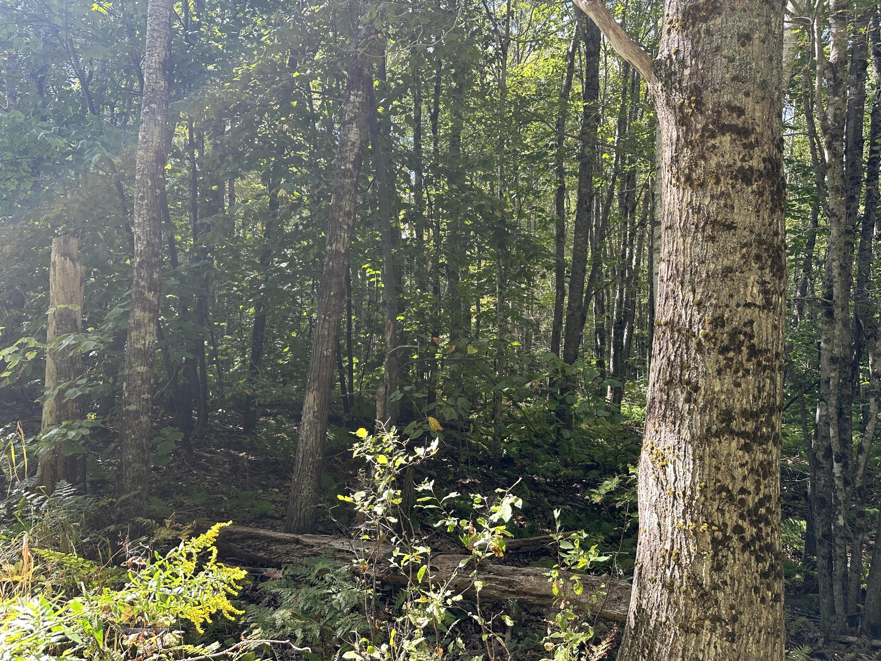 35-3 Jones Hill Road Appleton ME 04862