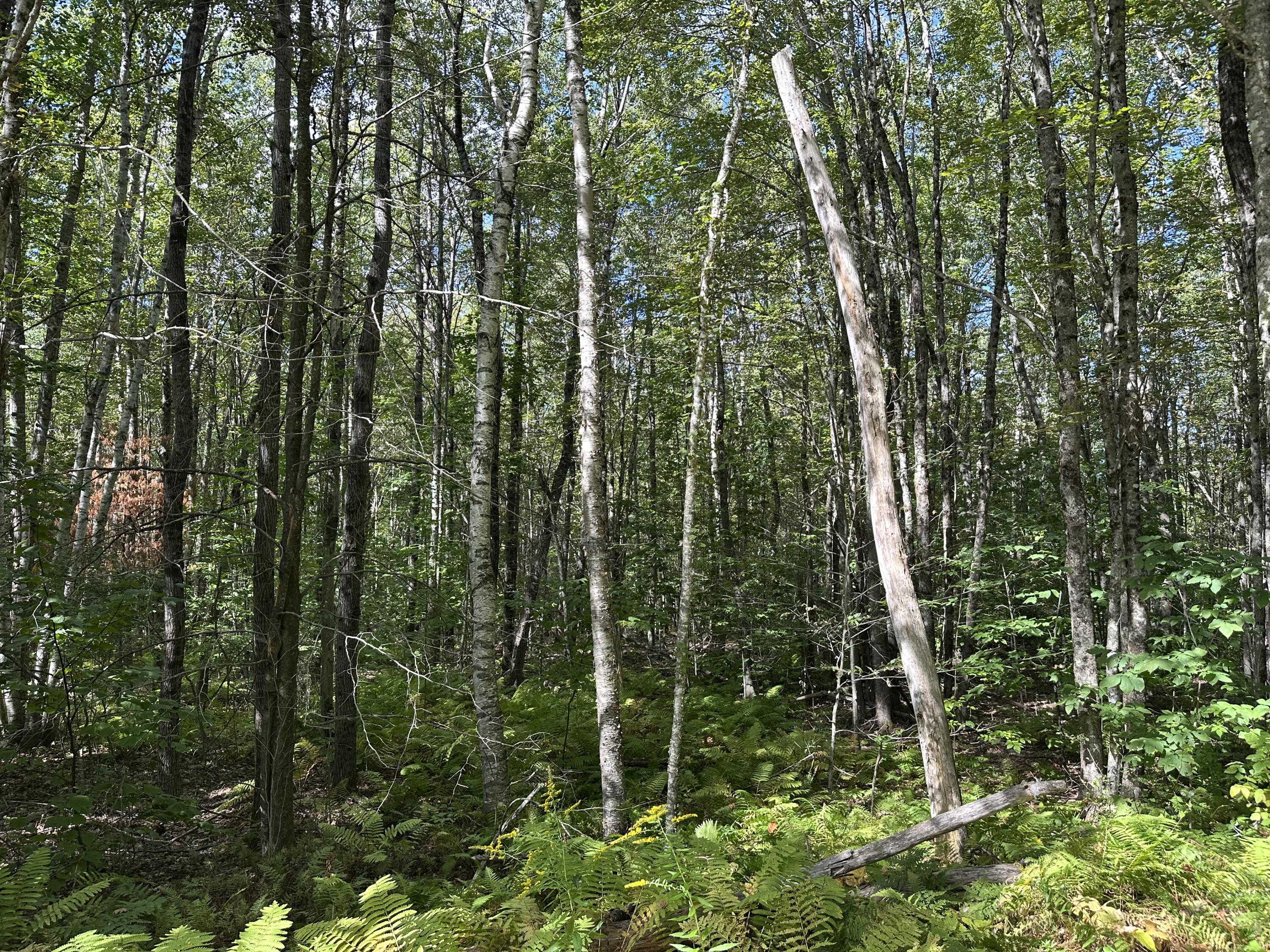 35-3 Jones Hill Road Appleton ME 04862