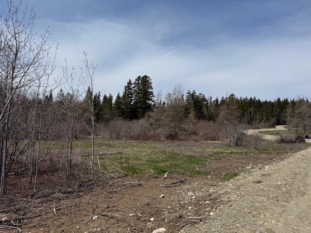 Lot 2 Holmes Bay Farms Road Whiting ME 04691