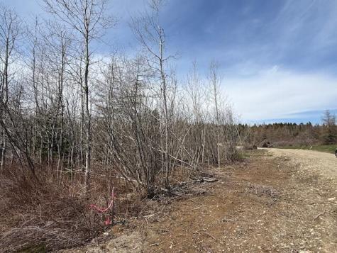 Lot 2 Holmes Bay Farms Road Whiting ME 04691