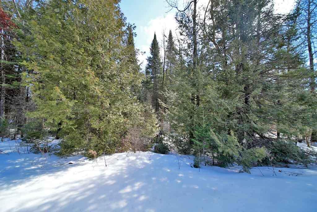 Lot 13 Wilcox Road Cary Plt ME 04730