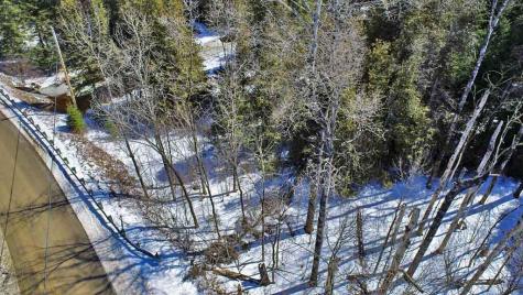 Lot 13 Wilcox Road Cary Plt ME 04730