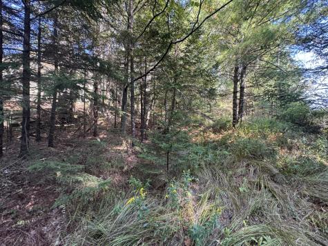 0 Main Road Phippsburg ME 04565
