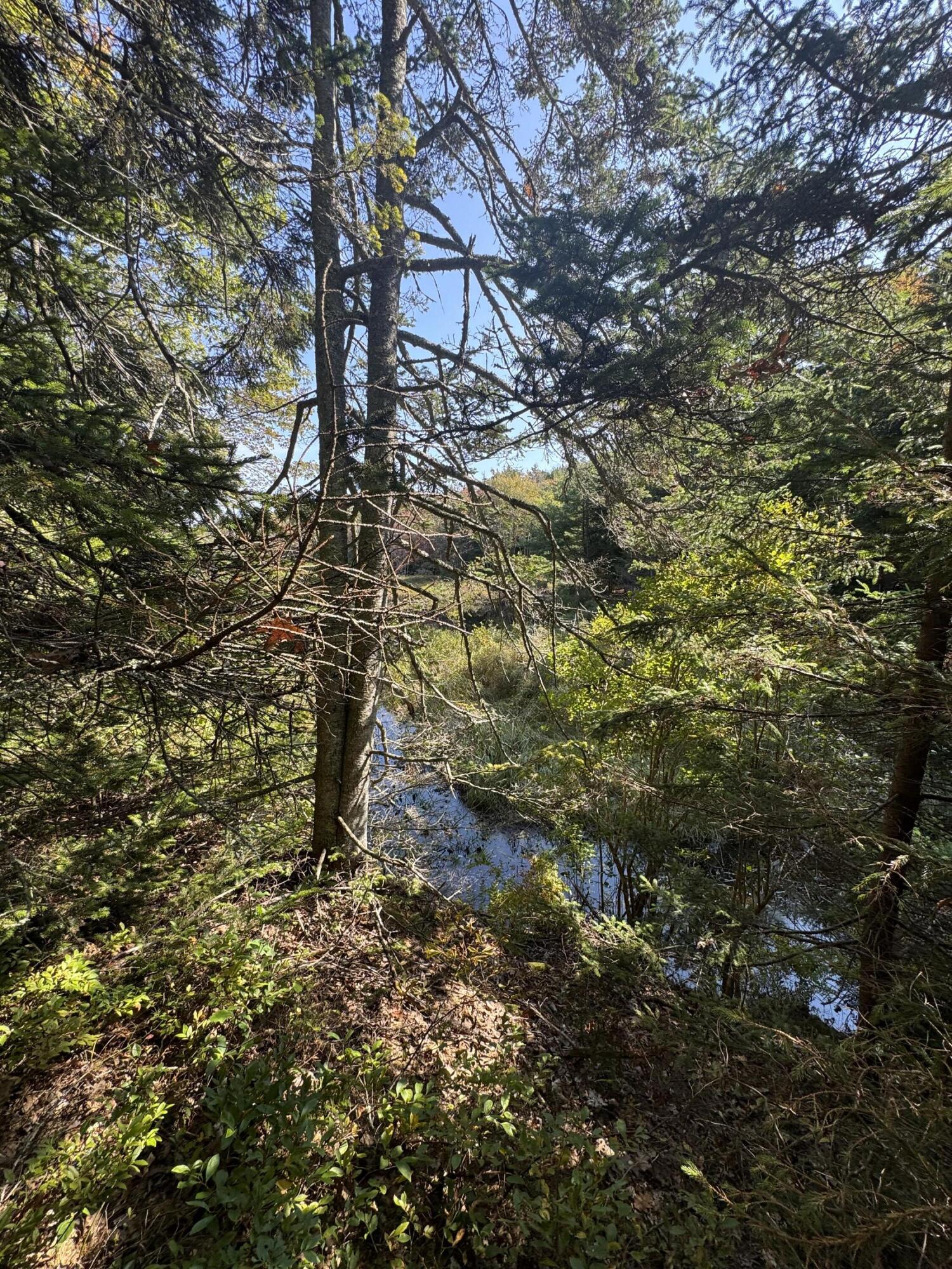 0 Main Road Phippsburg ME 04565