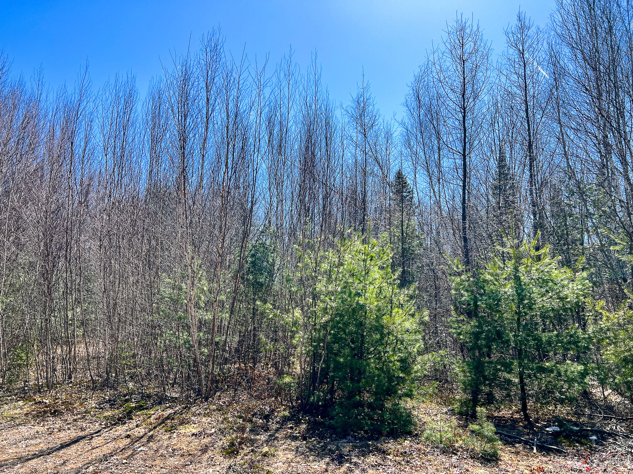 M11l3-4 Main Road Greenbush ME 04418