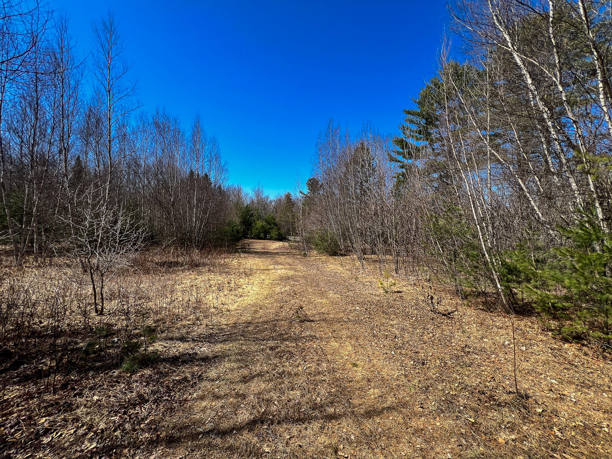 M11l3-4 Main Road Greenbush ME 04418