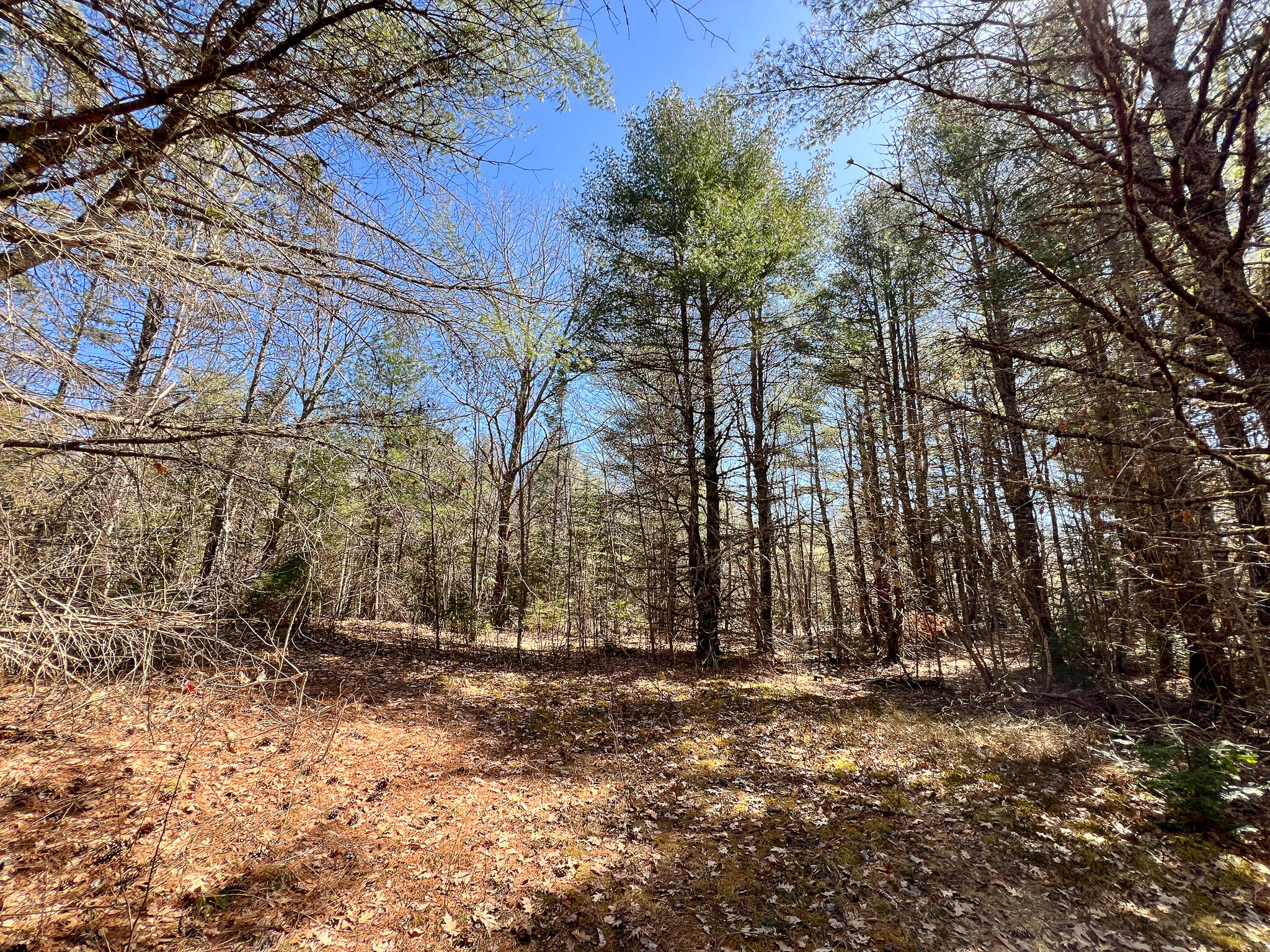 M11l3-4 Main Road Greenbush ME 04418