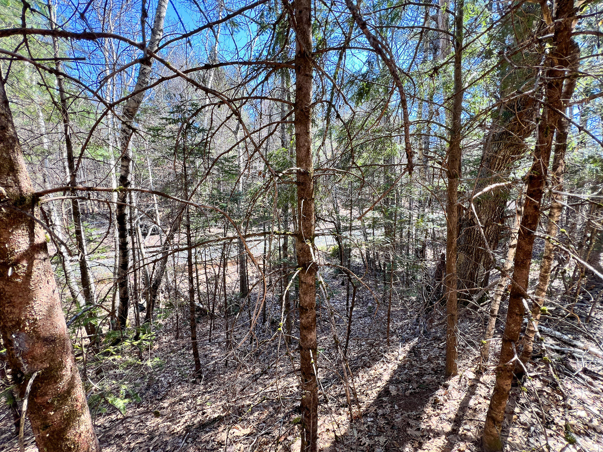 M11l3-4 Main Road Greenbush ME 04418