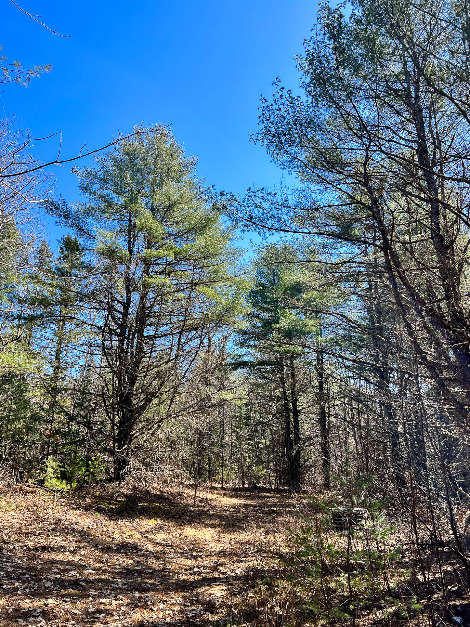 M11l3-4 Main Road Greenbush ME 04418