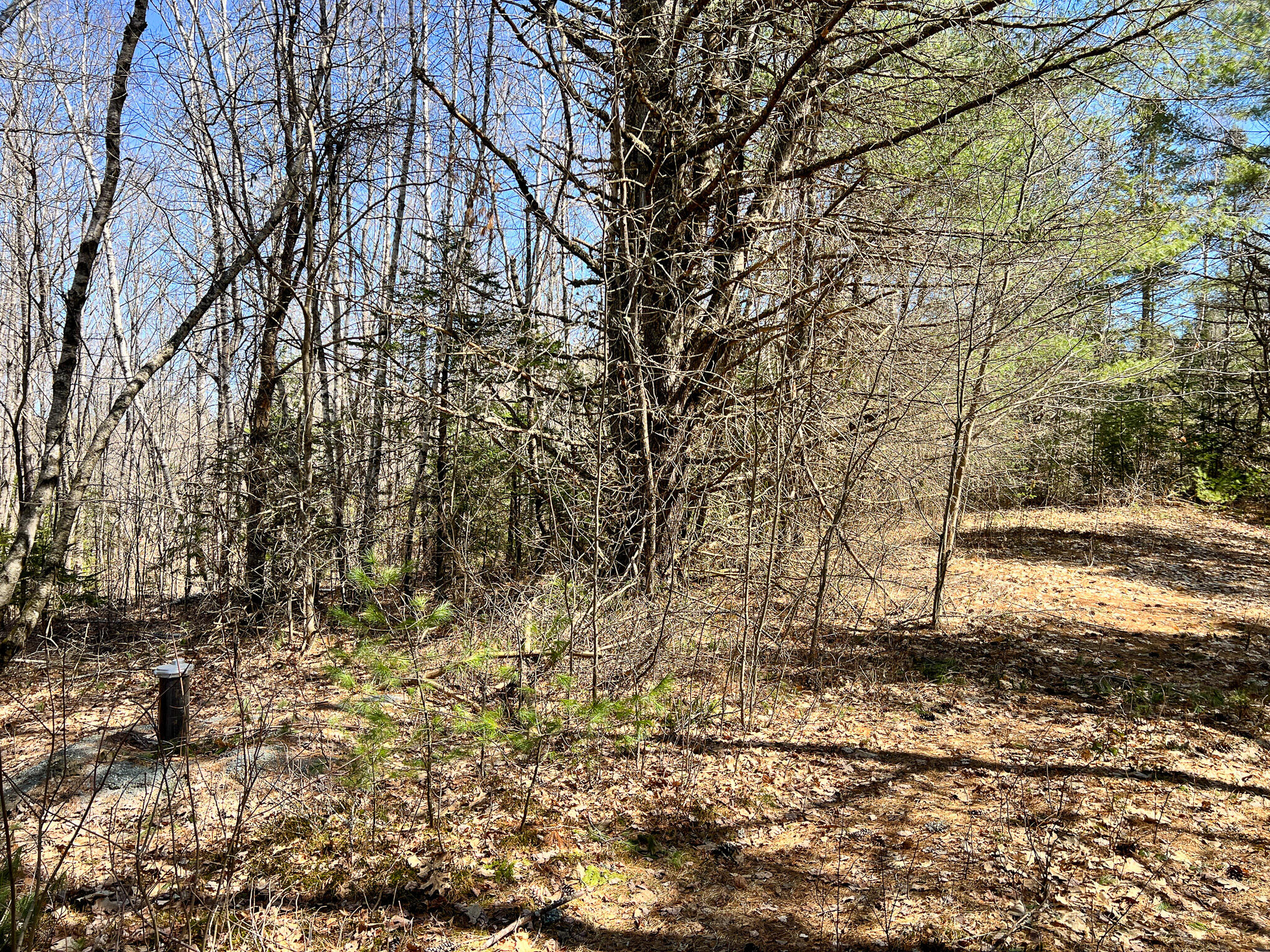 M11l3-4 Main Road Greenbush ME 04418