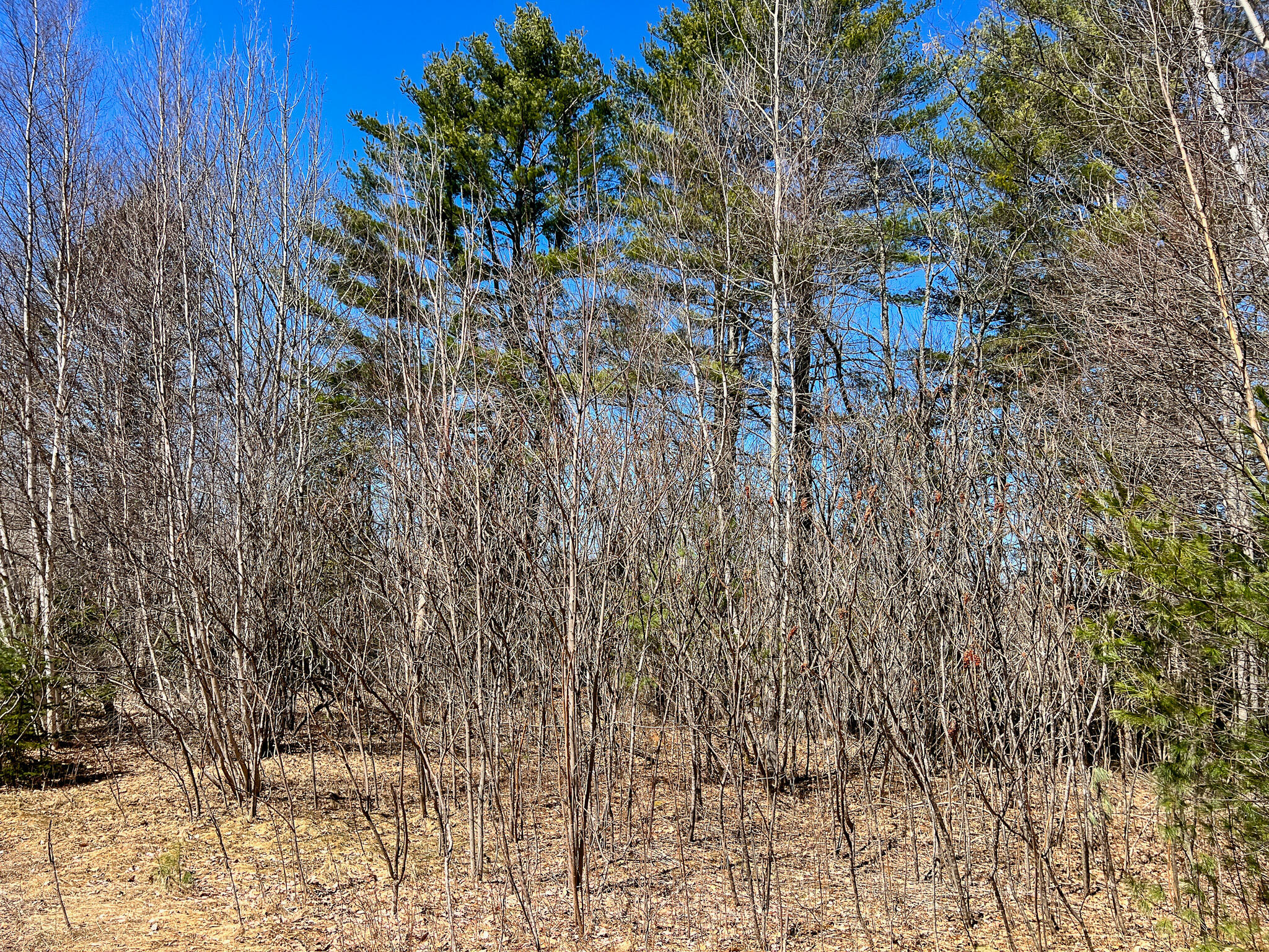 M11l3-4 Main Road Greenbush ME 04418