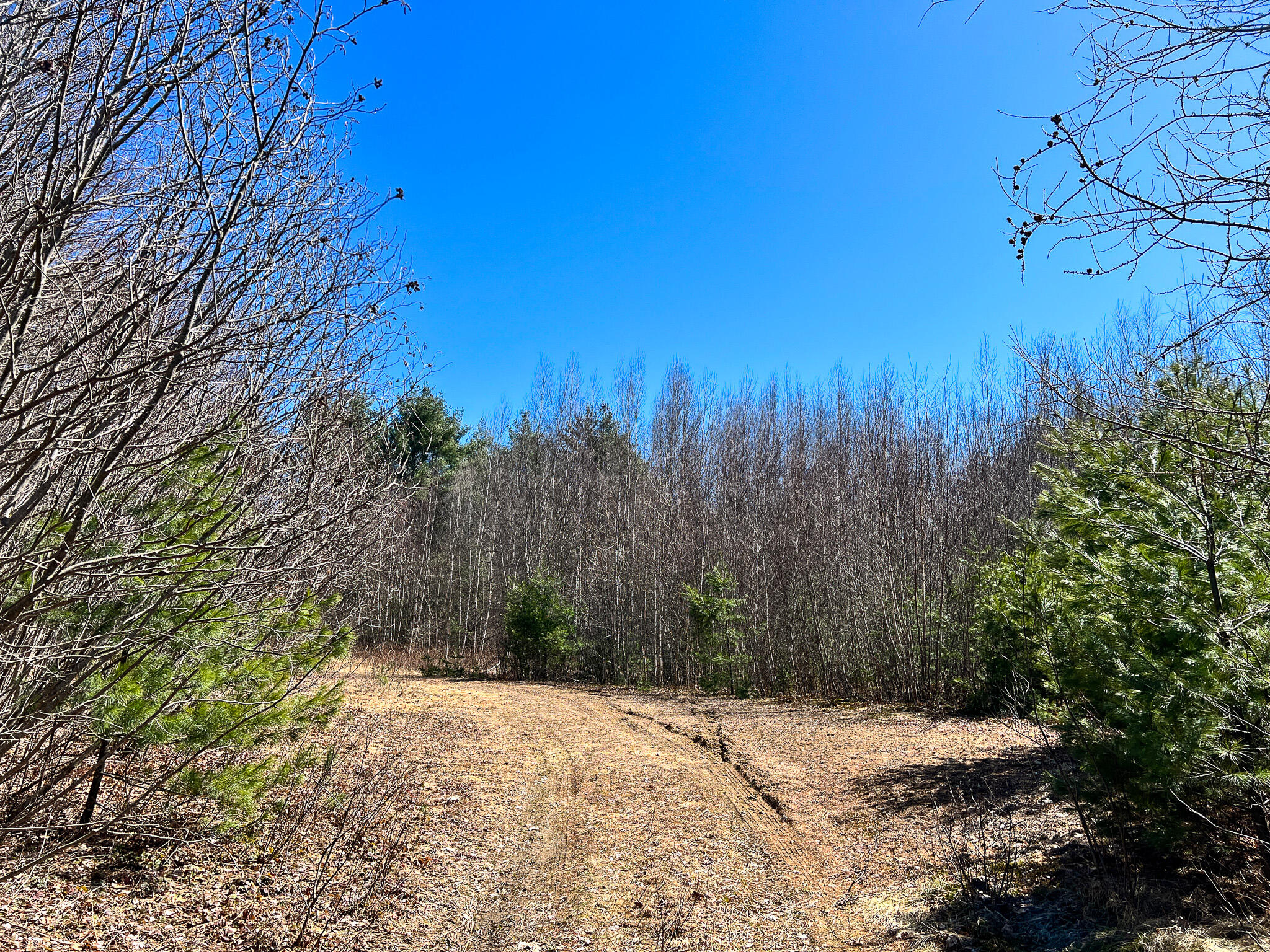 M11l3-4 Main Road Greenbush ME 04418