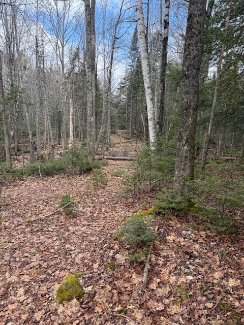 Map 1 L2 Union Street Glenburn ME 04401