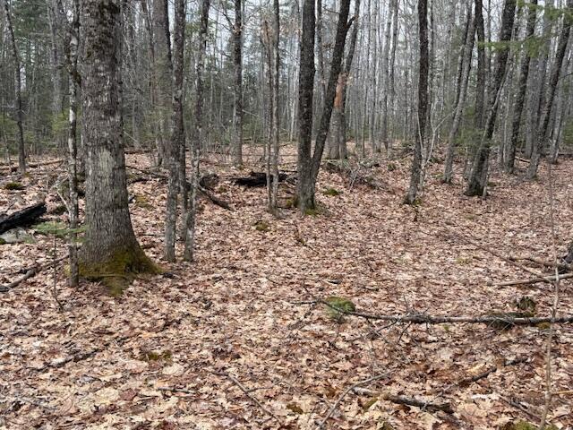 Map 1 L2 Union Street Glenburn ME 04401