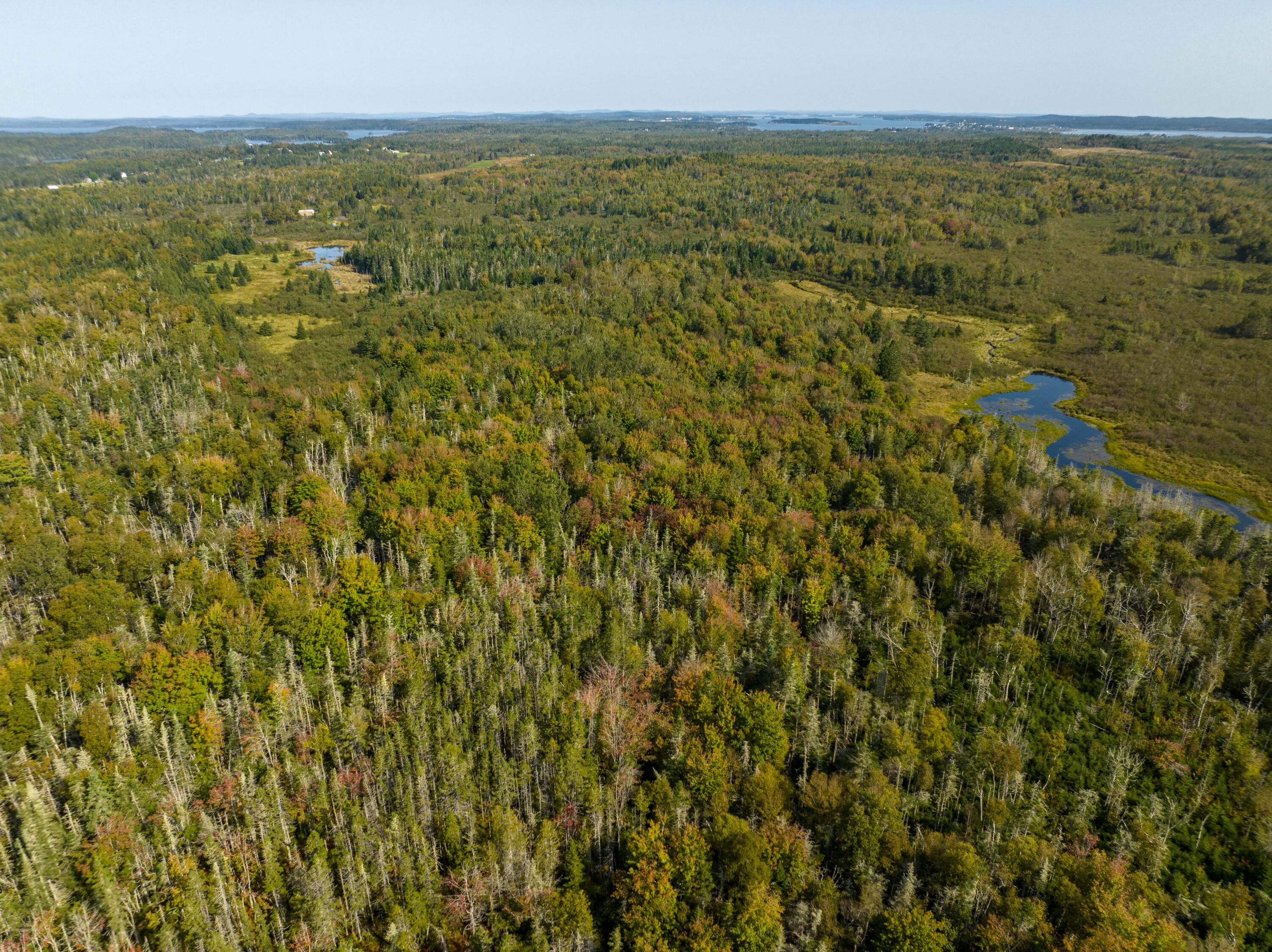 117 Denbow Road Lubec ME 04652