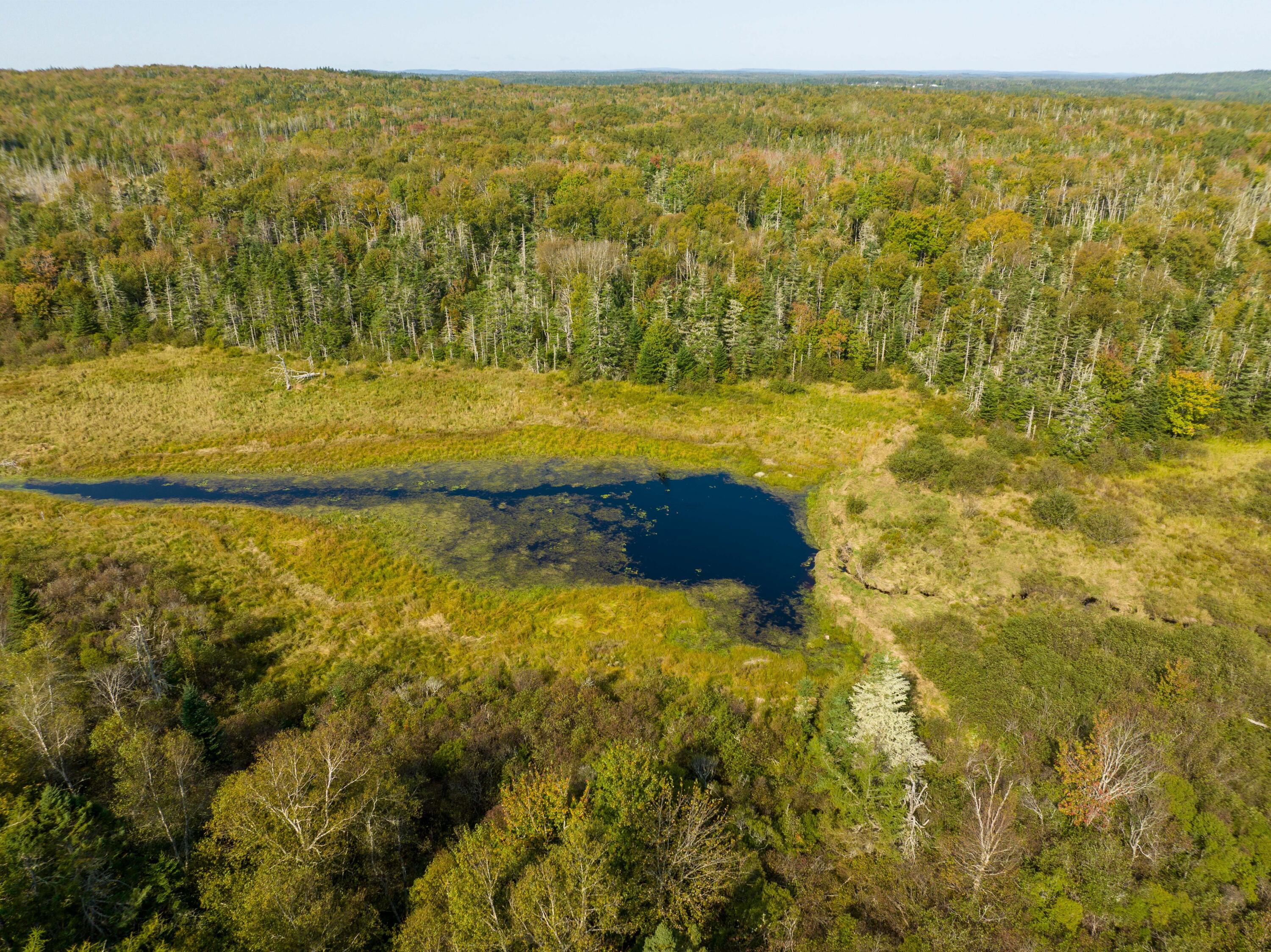 117 Denbow Road Lubec ME 04652