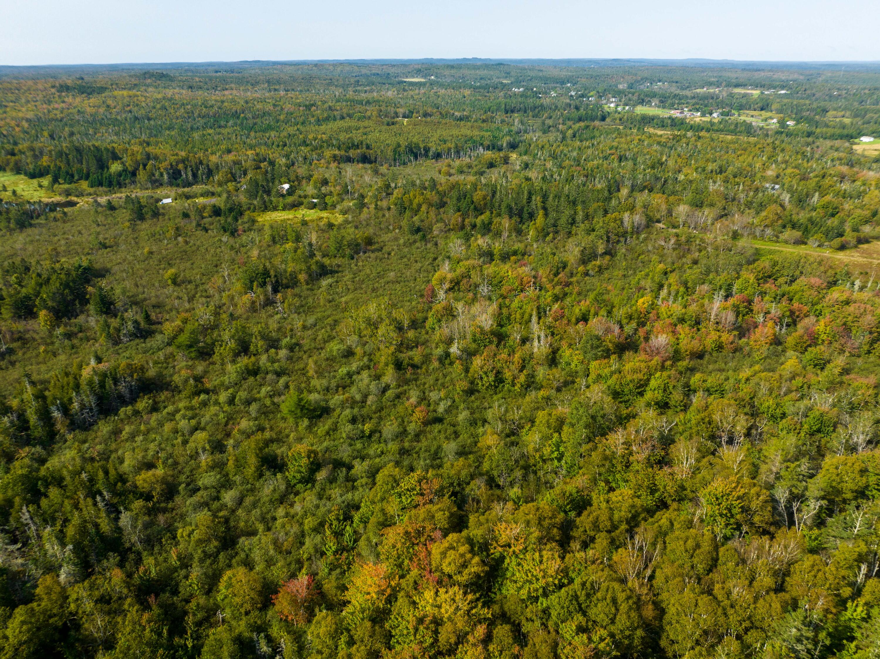 117 Denbow Road Lubec ME 04652