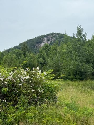 0 Hawk Meadow Road Waterford ME 04088