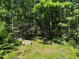 Lot #7 Bonnie Way Winterport ME 04496
