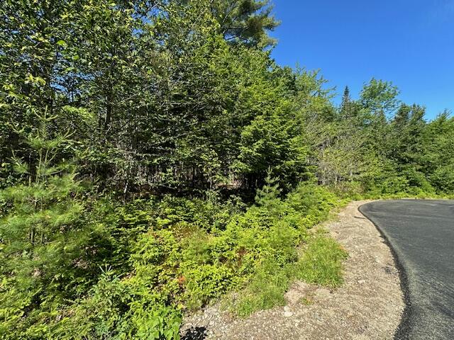 Lot #7 Bonnie Way Winterport ME 04496