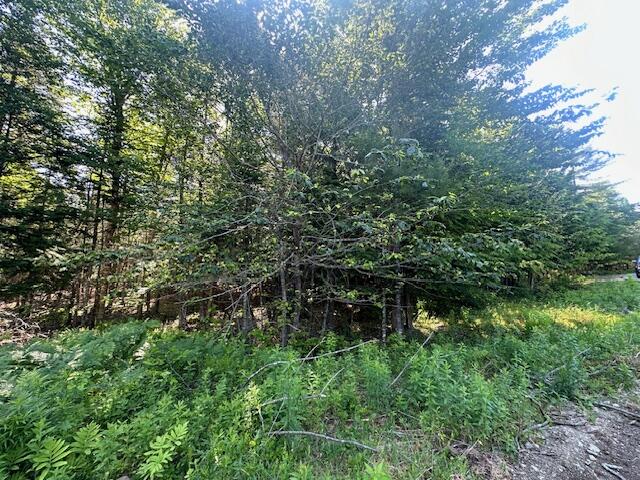 Lot #7 Bonnie Way Winterport ME 04496