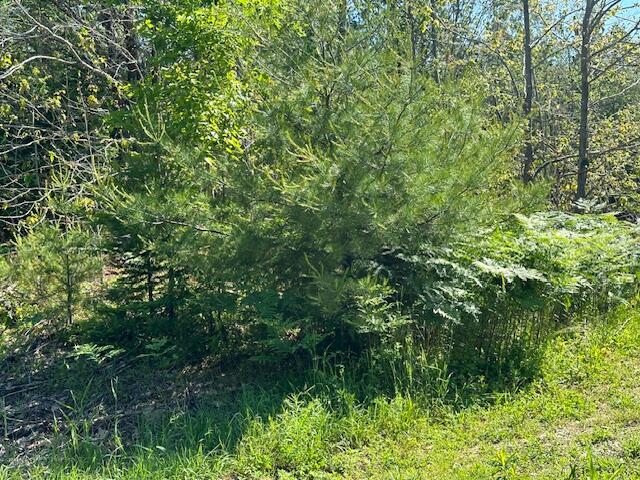 Lot #7 Bonnie Way Winterport ME 04496