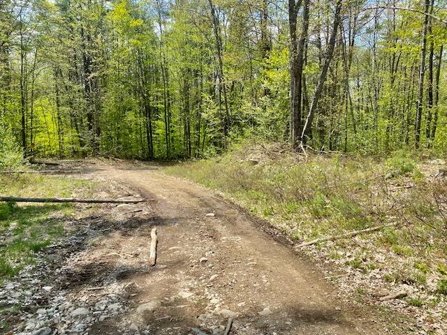 42AC Ben Gilpatrick Road Hiram ME 04041