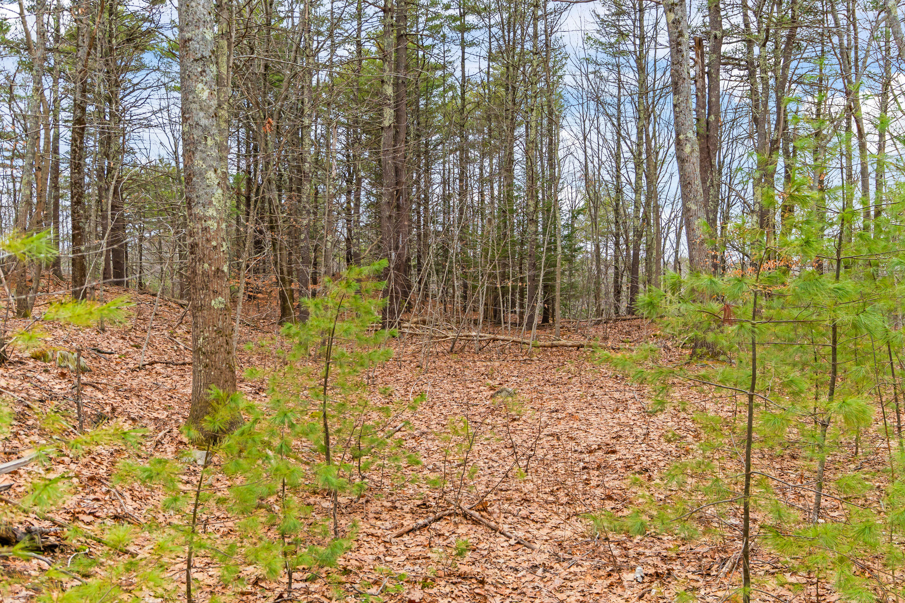 16 Fall Mill Road Extension York ME 03909