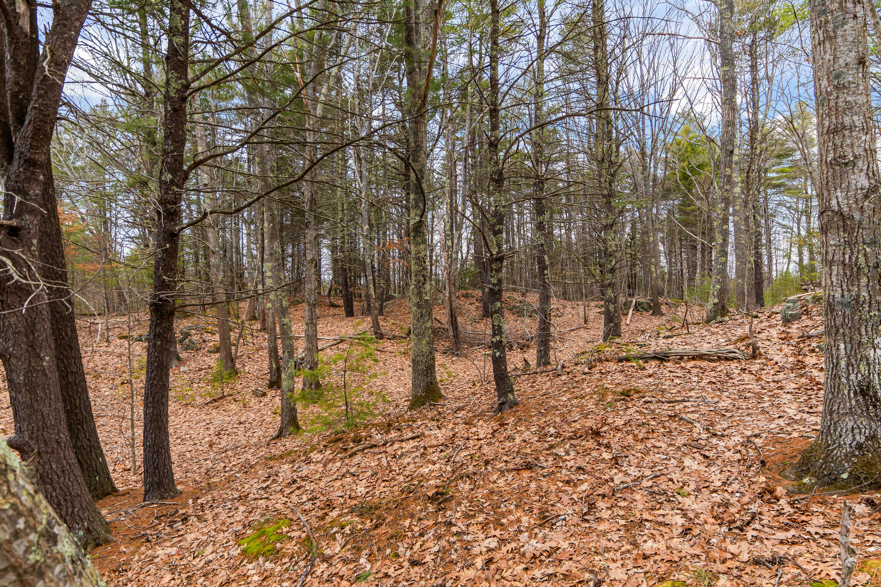 16 Fall Mill Road Extension York ME 03909