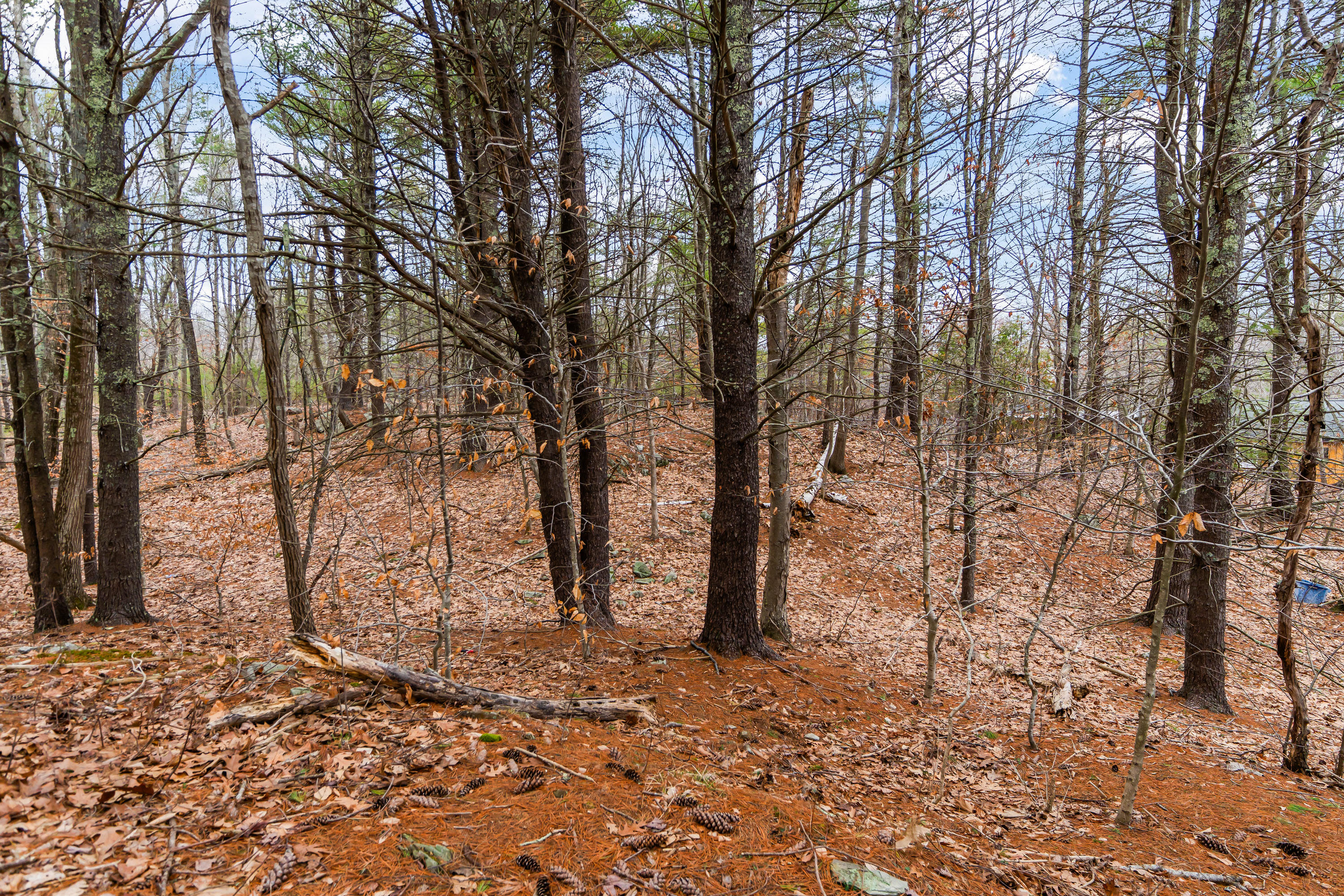 16 Fall Mill Road Extension York ME 03909